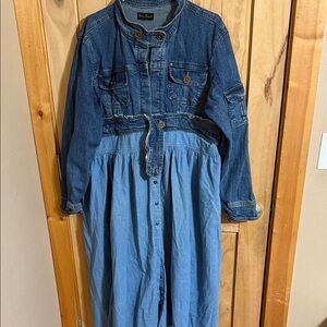 Ashley Stewart Denim Button-Up Dress